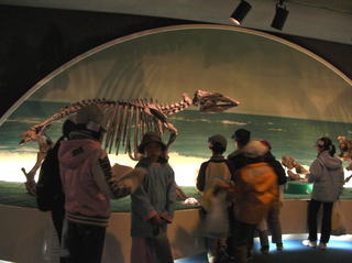 SANY0061.JPG