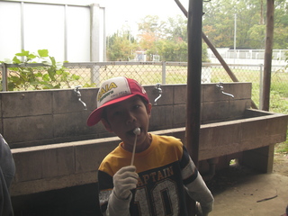 SANY2736.JPG
