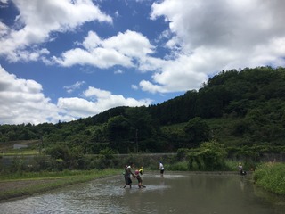 IMG_0645.JPG