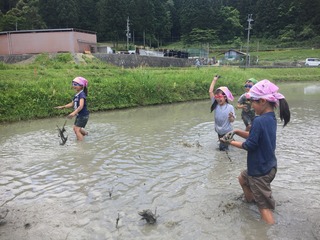 IMG_0660.JPG