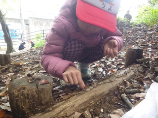 P1100082.JPG