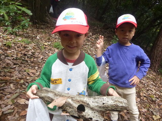 P1100085.JPG