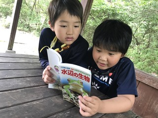 S__19021830.jpg