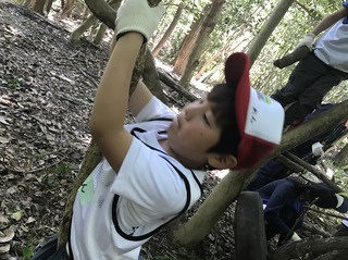 S__18350138.jpg